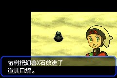 口袋妖怪究极绿宝石Ⅲ（3）二周目图文攻略