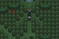 口袋妖怪究极绿宝石Ⅲ（3）二周目图文攻略