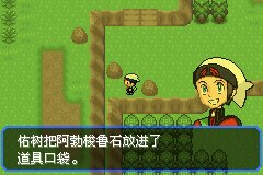 口袋妖怪究极绿宝石Ⅲ（3）二周目图文攻略