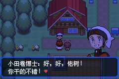 口袋妖怪究极绿宝石Ⅲ（3）二周目图文攻略