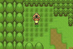 口袋妖怪究极绿宝石Ⅲ（3）二周目图文攻略