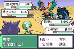 口袋妖怪究极绿宝石Ⅲ（3）二周目图文攻略