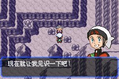 口袋妖怪究极绿宝石Ⅲ（3）二周目图文攻略