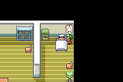 口袋妖怪究极绿宝石Ⅲ（3）二周目图文攻略