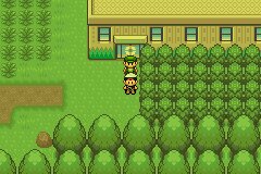 口袋妖怪究极绿宝石Ⅲ（3）二周目图文攻略