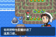 口袋妖怪究极绿宝石Ⅲ（3）二周目图文攻略