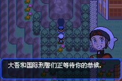 口袋妖怪究极绿宝石Ⅲ（3）二周目图文攻略