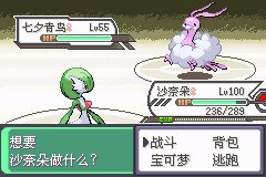 口袋妖怪究极绿宝石Ⅲ（3）二周目图文攻略