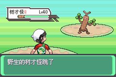 口袋妖怪究极绿宝石Ⅲ(3)二周目图文攻略