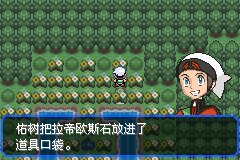 口袋妖怪究极绿宝石Ⅲ（3）二周目图文攻略