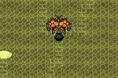 口袋妖怪究极绿宝石Ⅲ（3）二周目图文攻略