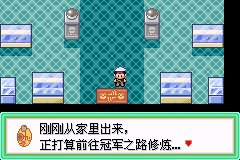 口袋妖怪究极绿宝石Ⅲ（3）二周目图文攻略