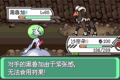 口袋妖怪究极绿宝石Ⅲ（3）二周目图文攻略