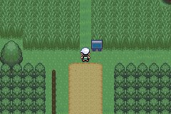 口袋妖怪究极绿宝石Ⅲ（3）二周目图文攻略