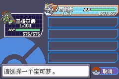 口袋妖怪究极绿宝石Ⅲ（3）二周目图文攻略