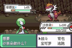 口袋妖怪究极绿宝石Ⅲ（3）二周目图文攻略