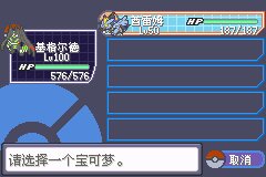 口袋妖怪究极绿宝石Ⅲ（3）二周目图文攻略