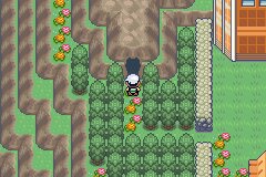 口袋妖怪究极绿宝石Ⅲ（3）二周目图文攻略