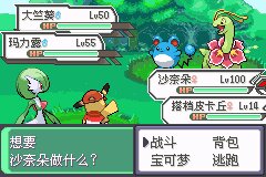 口袋妖怪究极绿宝石Ⅲ（3）二周目图文攻略