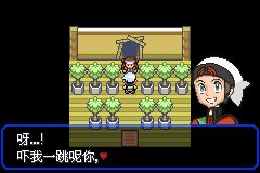 口袋妖怪究极绿宝石Ⅲ（3）二周目图文攻略