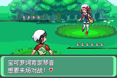 口袋妖怪究极绿宝石Ⅲ（3）二周目图文攻略