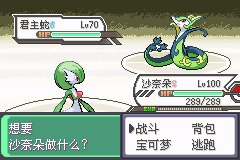 口袋妖怪究极绿宝石Ⅲ（3）二周目图文攻略