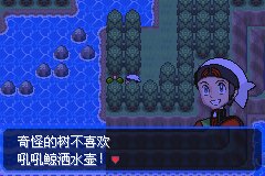 口袋妖怪究极绿宝石Ⅲ(3)二周目图文攻略