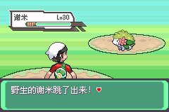 口袋妖怪究极绿宝石Ⅲ（3）二周目图文攻略