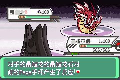 口袋妖怪究极绿宝石Ⅲ（3）二周目图文攻略