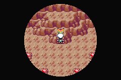 口袋妖怪究极绿宝石Ⅲ（3）二周目图文攻略