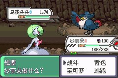 口袋妖怪究极绿宝石Ⅲ（3）二周目图文攻略