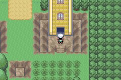 口袋妖怪究极绿宝石Ⅲ（3）二周目图文攻略