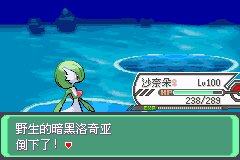 口袋妖怪究极绿宝石Ⅲ（3）二周目图文攻略