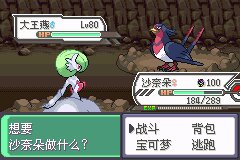 口袋妖怪究极绿宝石Ⅲ（3）二周目图文攻略