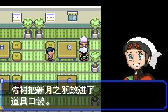 口袋妖怪究极绿宝石Ⅲ（3）二周目图文攻略