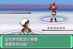 口袋妖怪究极绿宝石Ⅲ（3）二周目图文攻略