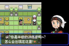 口袋妖怪究极绿宝石Ⅲ（3）二周目图文攻略