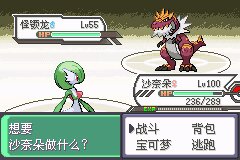 口袋妖怪究极绿宝石Ⅲ（3）二周目图文攻略