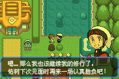 口袋妖怪究极绿宝石Ⅲ（3）二周目图文攻略