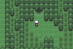 口袋妖怪究极绿宝石Ⅲ（3）二周目图文攻略