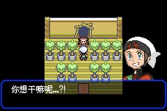 口袋妖怪究极绿宝石Ⅲ（3）二周目图文攻略