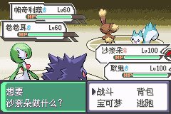 口袋妖怪究极绿宝石Ⅲ（3）二周目图文攻略