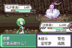 口袋妖怪究极绿宝石Ⅲ（3）二周目图文攻略