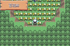 口袋妖怪究极绿宝石Ⅲ（3）二周目图文攻略