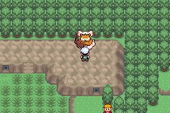 口袋妖怪究极绿宝石Ⅲ（3）二周目图文攻略