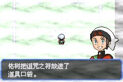 口袋妖怪究极绿宝石Ⅲ（3）二周目图文攻略