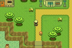 口袋妖怪究极绿宝石|||一周目图文攻略