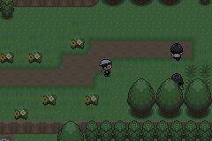 口袋妖怪究极绿宝石|||一周目图文攻略