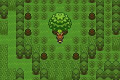 口袋妖怪究极绿宝石|||二周目图文攻略