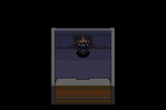 口袋妖怪究极绿宝石|||二周目图文攻略